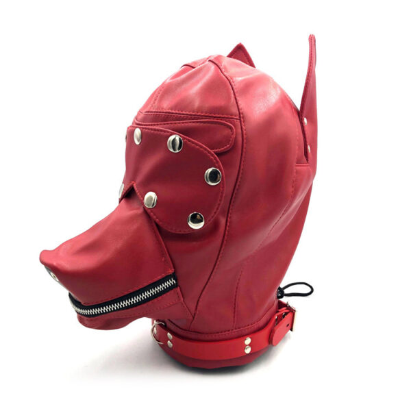 Leather Appliances For Men And Women Adult Products - Image 4