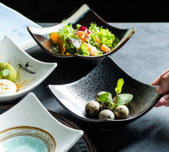 Creative And Minimalist Japanese Ceramic Plates
